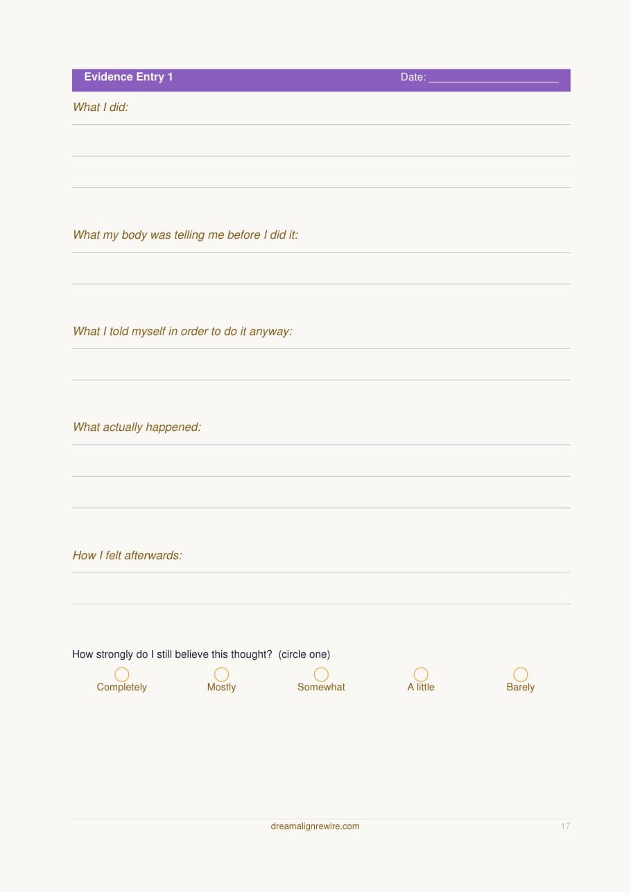 Evidence entry page: what I did, what my body was telling me, what actually happened
