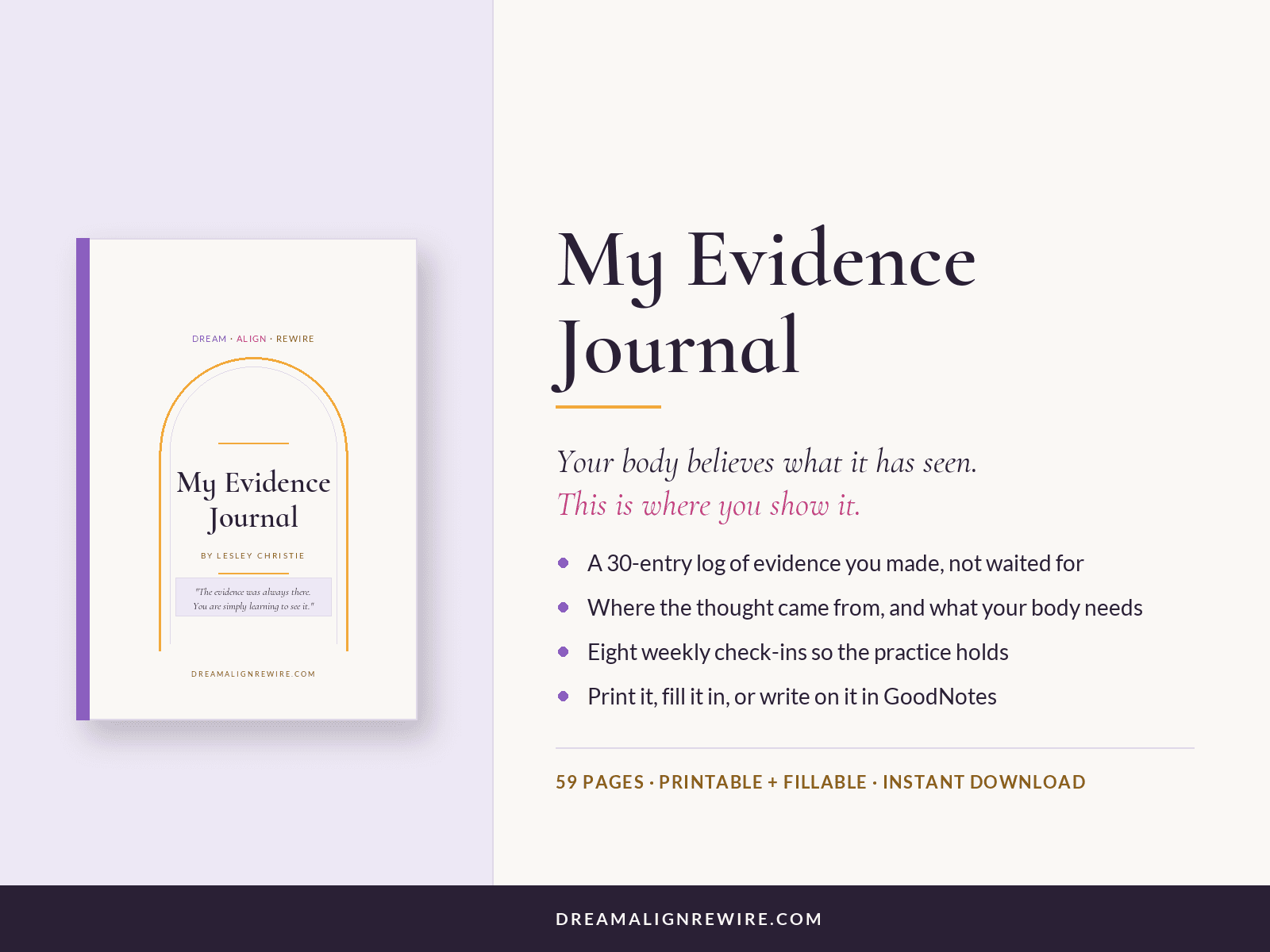 My Evidence Journal by Dream Align Rewire