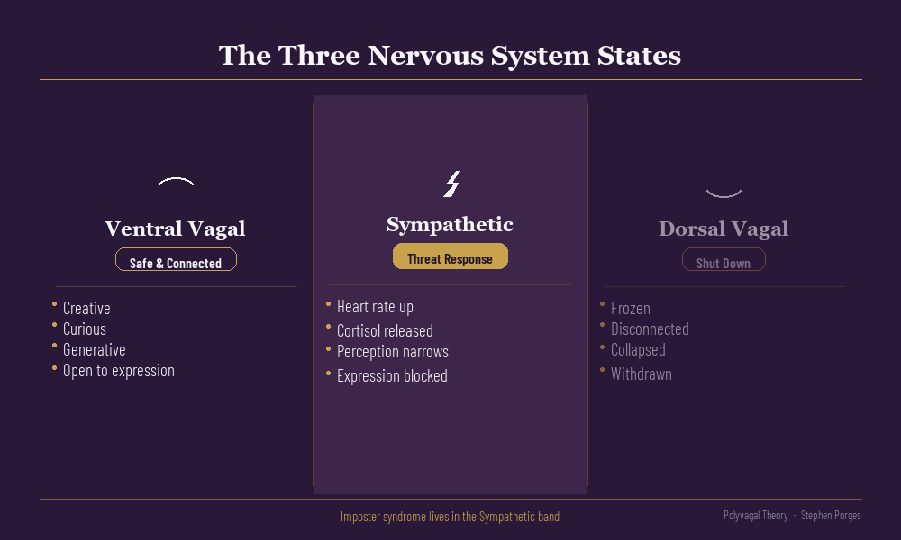 The three nervous system states - Ventral Vagal, Sympathetic, and Dorsal Vagal - and where imposter syndrome lives